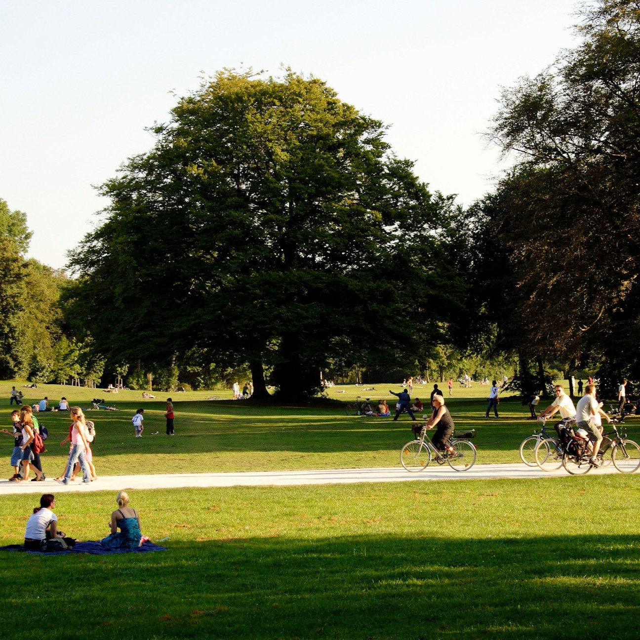 people-walking-and-enjoying-in-park